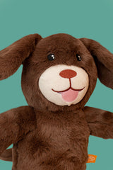 Cão